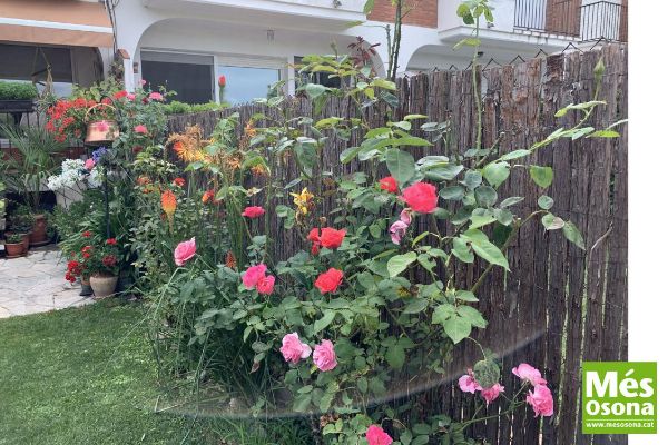 Viles Florides Tona 2020. Visita del jurat.