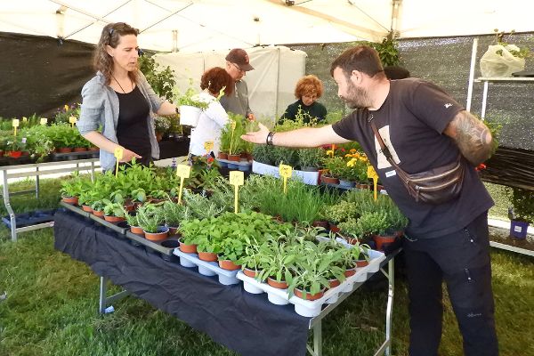 Fira de la Llavor de Roda de Ter