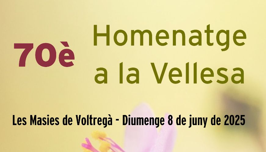 Les Masies de Voltregà celebra el 70è Homenatge a la Vellesa amb una jornada plena d'actes