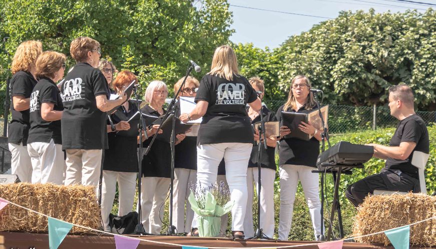 La Fira de Dones Artesanes de Sant Hipòlit de Voltregà: una mostra de talent, empoderament i comunitat 4