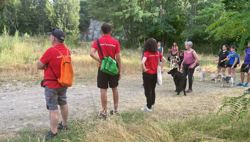 Torelló celebra una nova passejada canina per promoure la tinença responsable