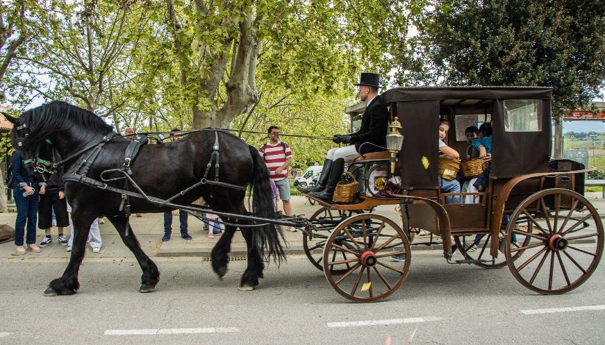 Foto: Josep M. Costa  2