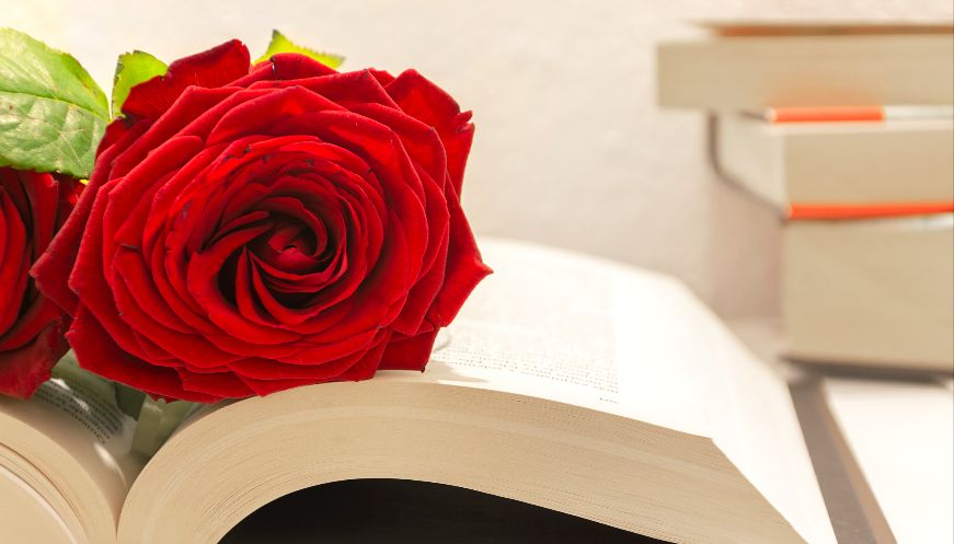 Llibres osonencs per Sant Jordi 2026: guia ràpida per trobar el teu llibre ideal i descobrir autors d'Osona
