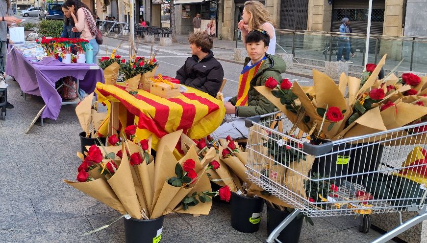 Foto: Minerva Plans  3