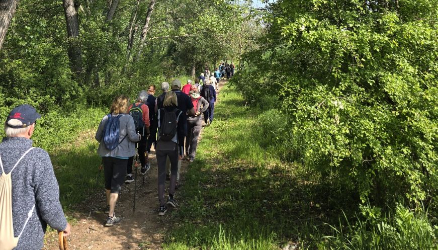 Passeig pel Gurri amb una cinquantena de veïns del barri Vic Nord
