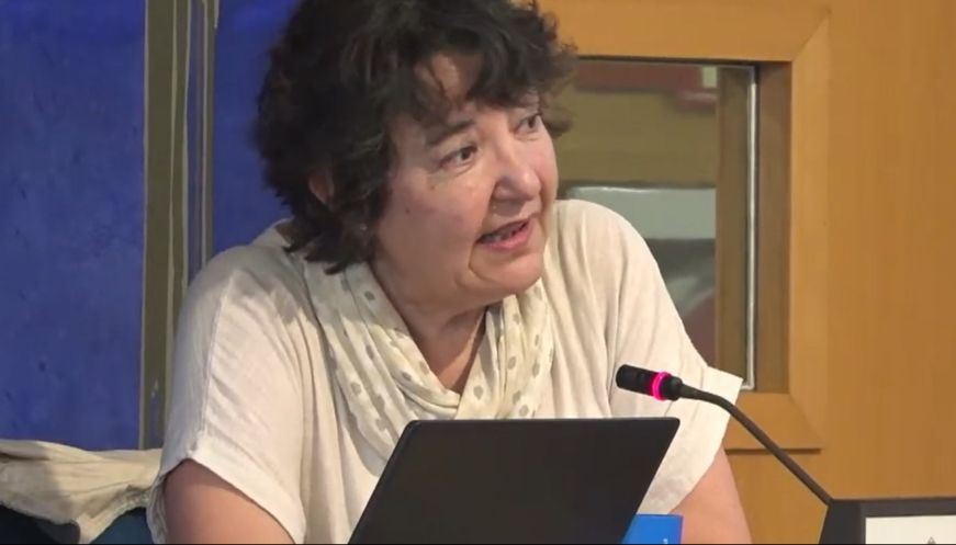 El ple del Consell Comarcal d’Osona aprova diversos acords en una sessió extraordinària