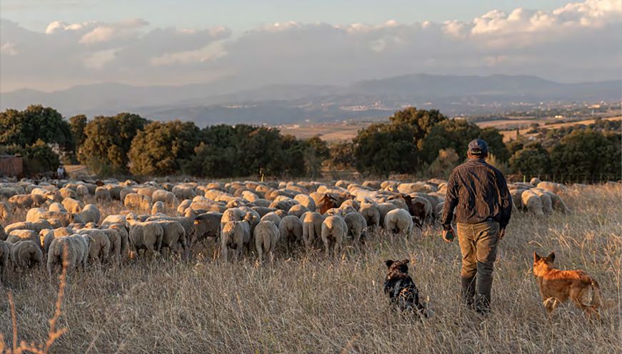 La bioeconomia obre una finestra d’oportunitat per a Osona