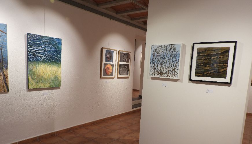 Foto: Toni Carrasco 2