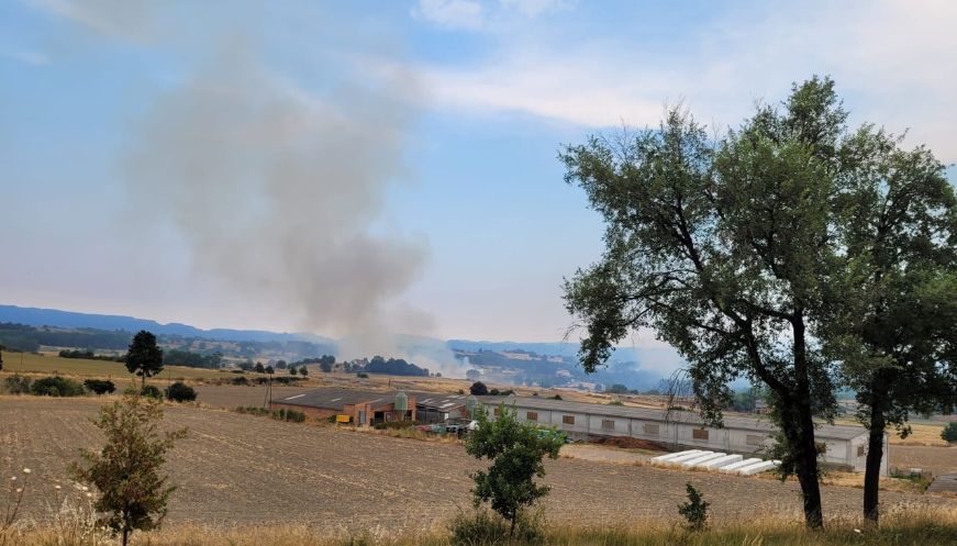 Foto: Ajuntament de Torelló