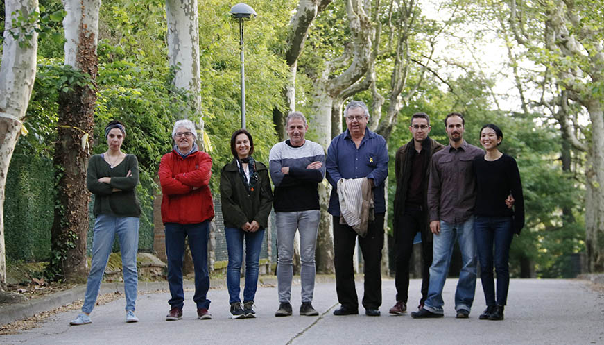 Polèmica a Sant Julià de Vilatorta per la tala de 29 plataners