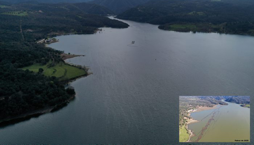 L'ACA retira més del 76% del material vegetal acumulat a l'embassament de Sau arran del temporal Gloria