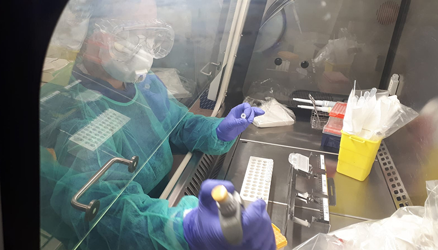 Catalunya arriba a les 3.231 morts per coronavirus en centres sanitaris, amb 83 noves defuncions en les últimes 24 hores