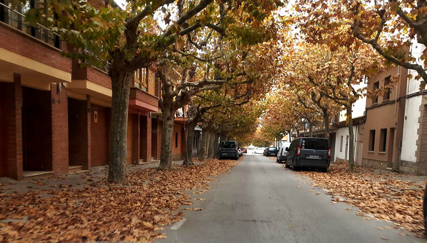 Es reforça el servei de neteja viària a Tona